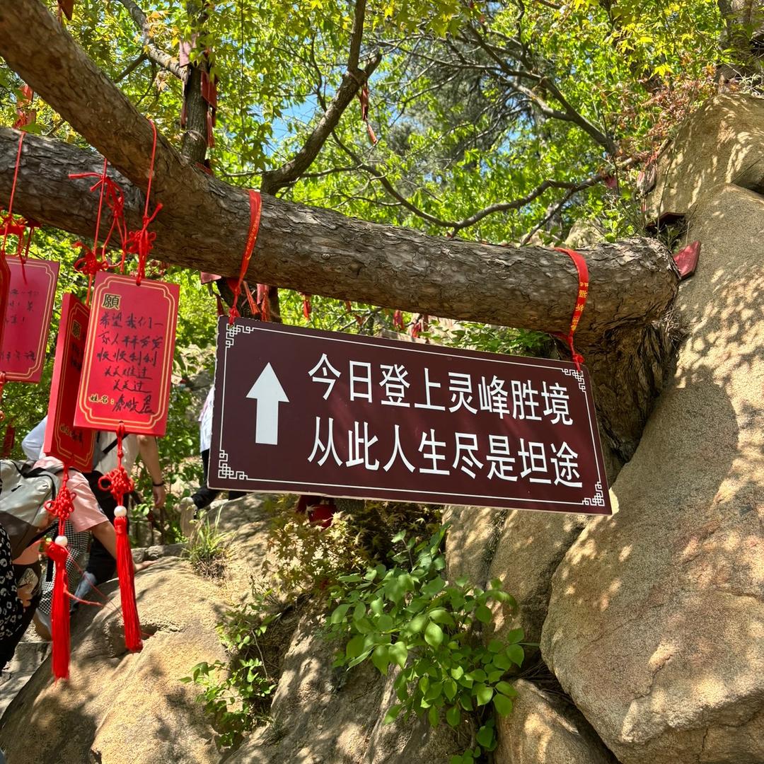 酒