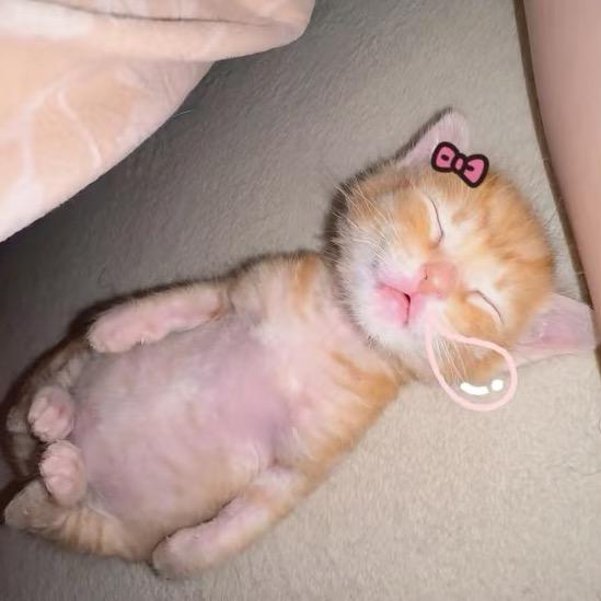 很好相处的女人