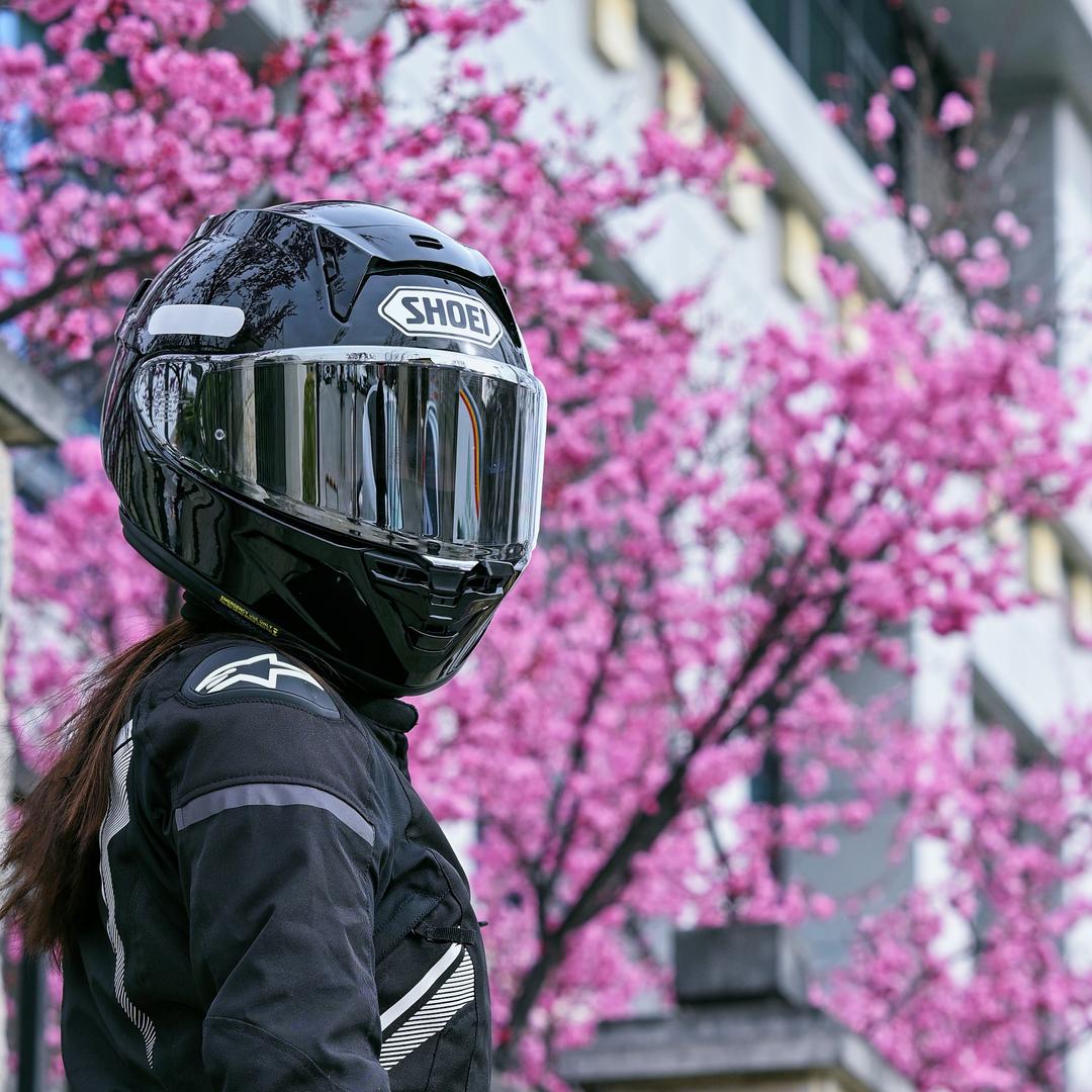 哇湿泥蝶 🏍️