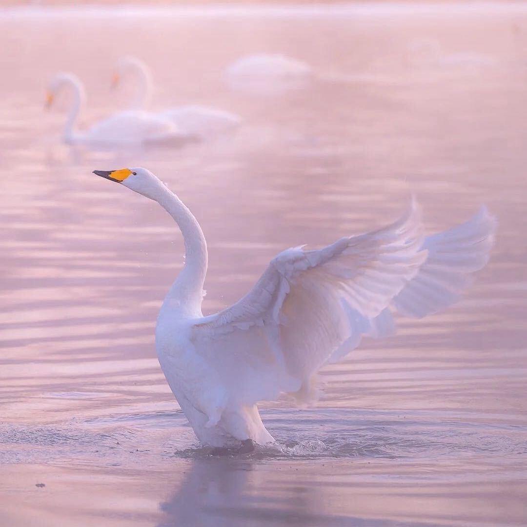 卡姿兰“大👁️👁️”