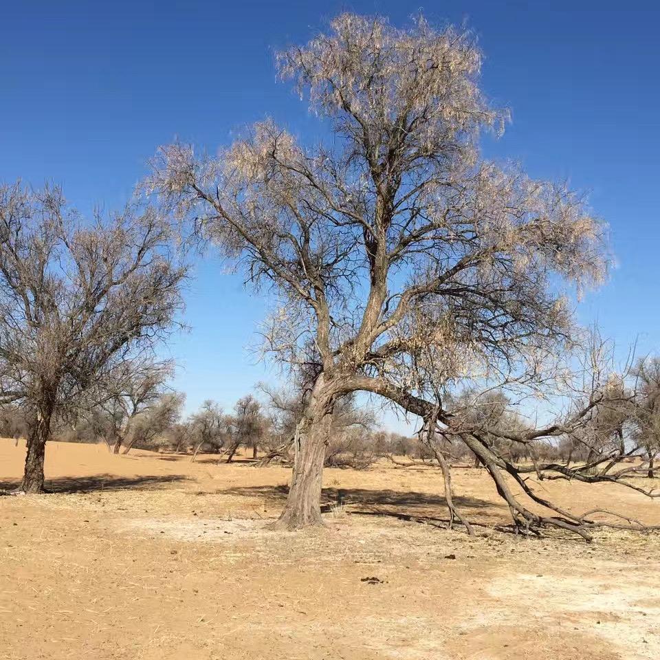 十六楼的小哥哥