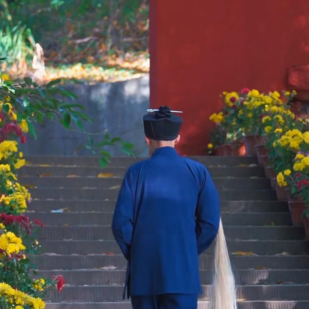 清羽师兄（报名私信））