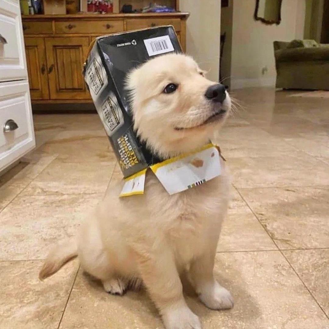面包