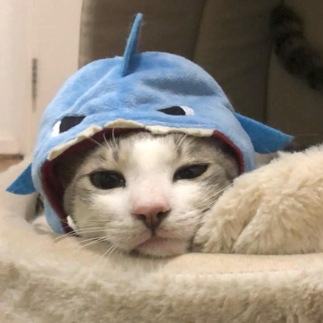 双木林_