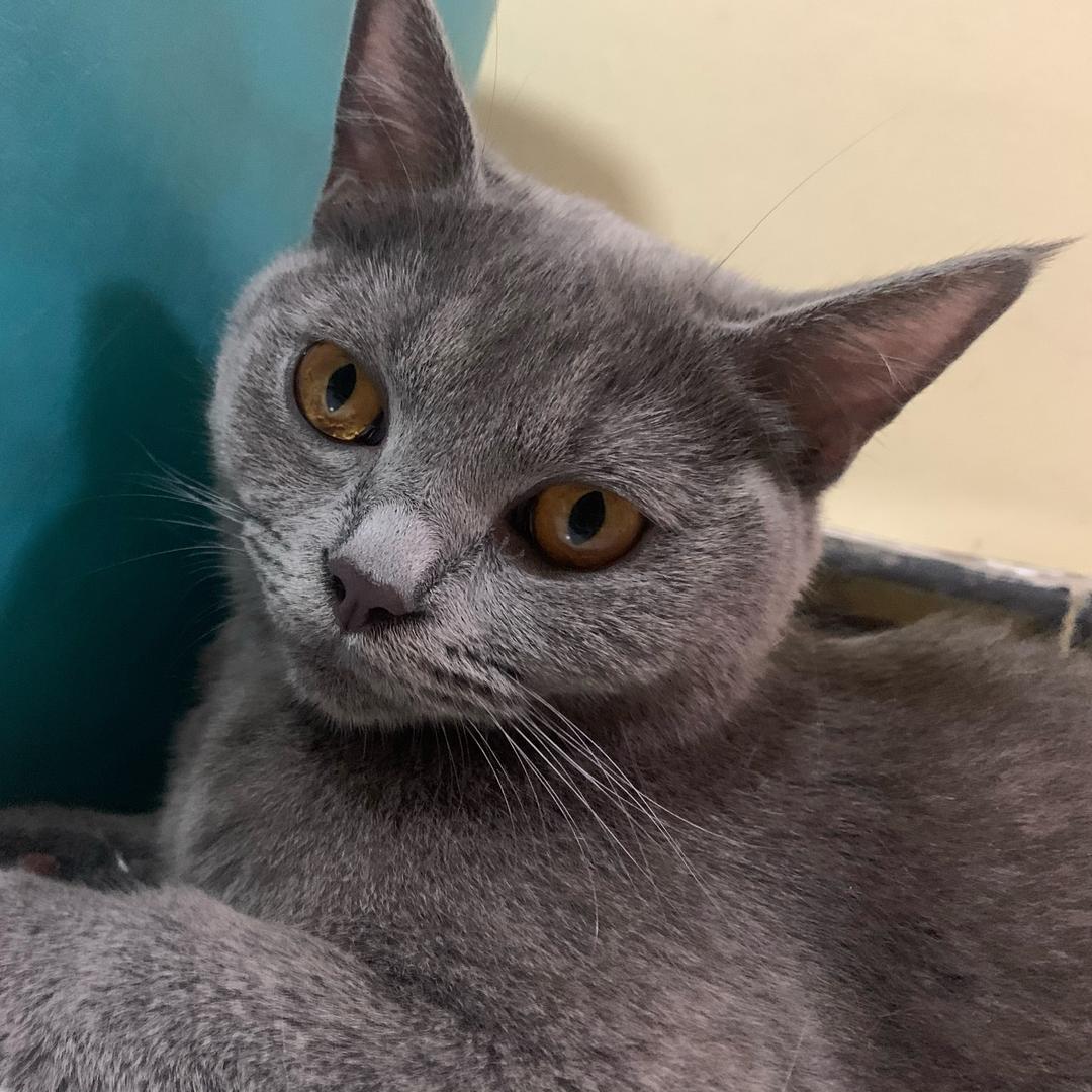 是我呀呀呀呀呀呀