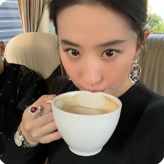菲菲菲菲
