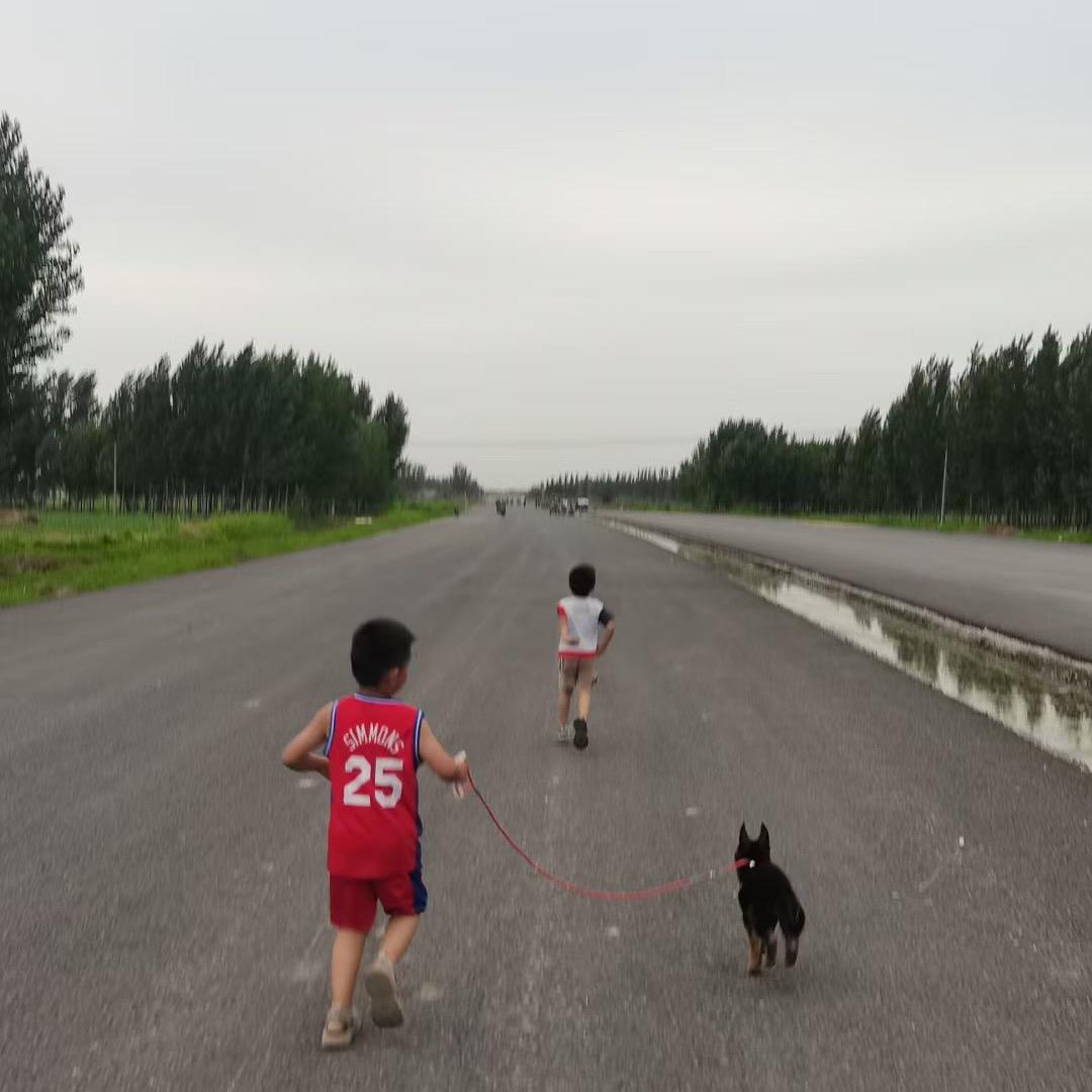 二兔🐰