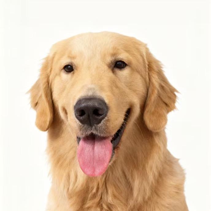 W一与好运来的日常🧩