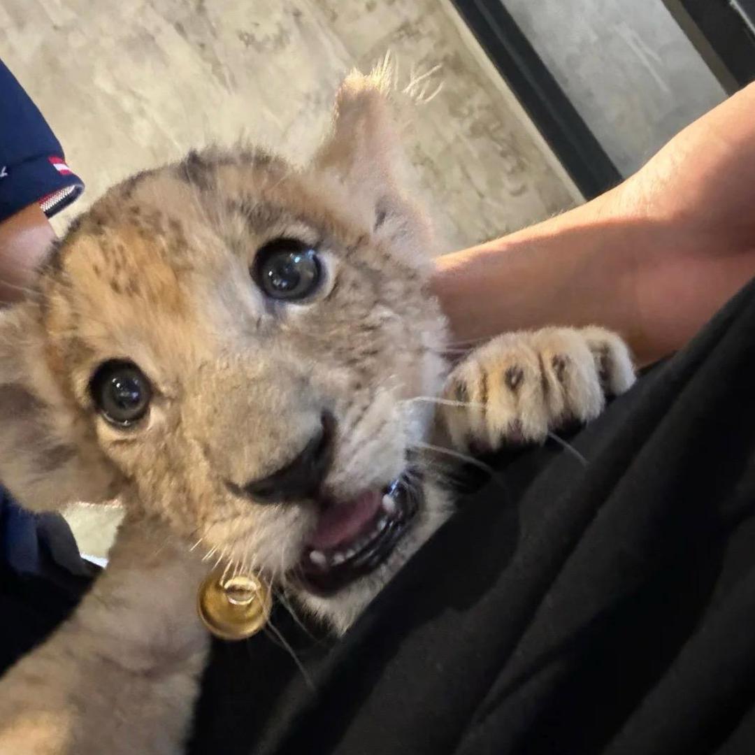 潍坊鸢禧首饰回收