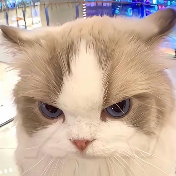 把答案留在昨天