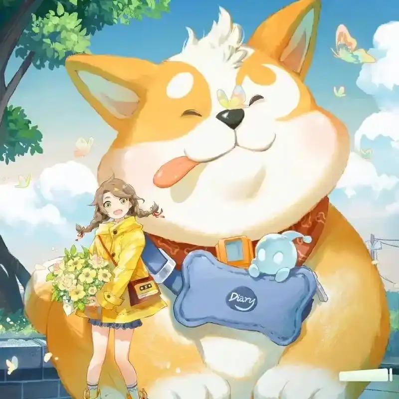 球球（国一阿古朵）