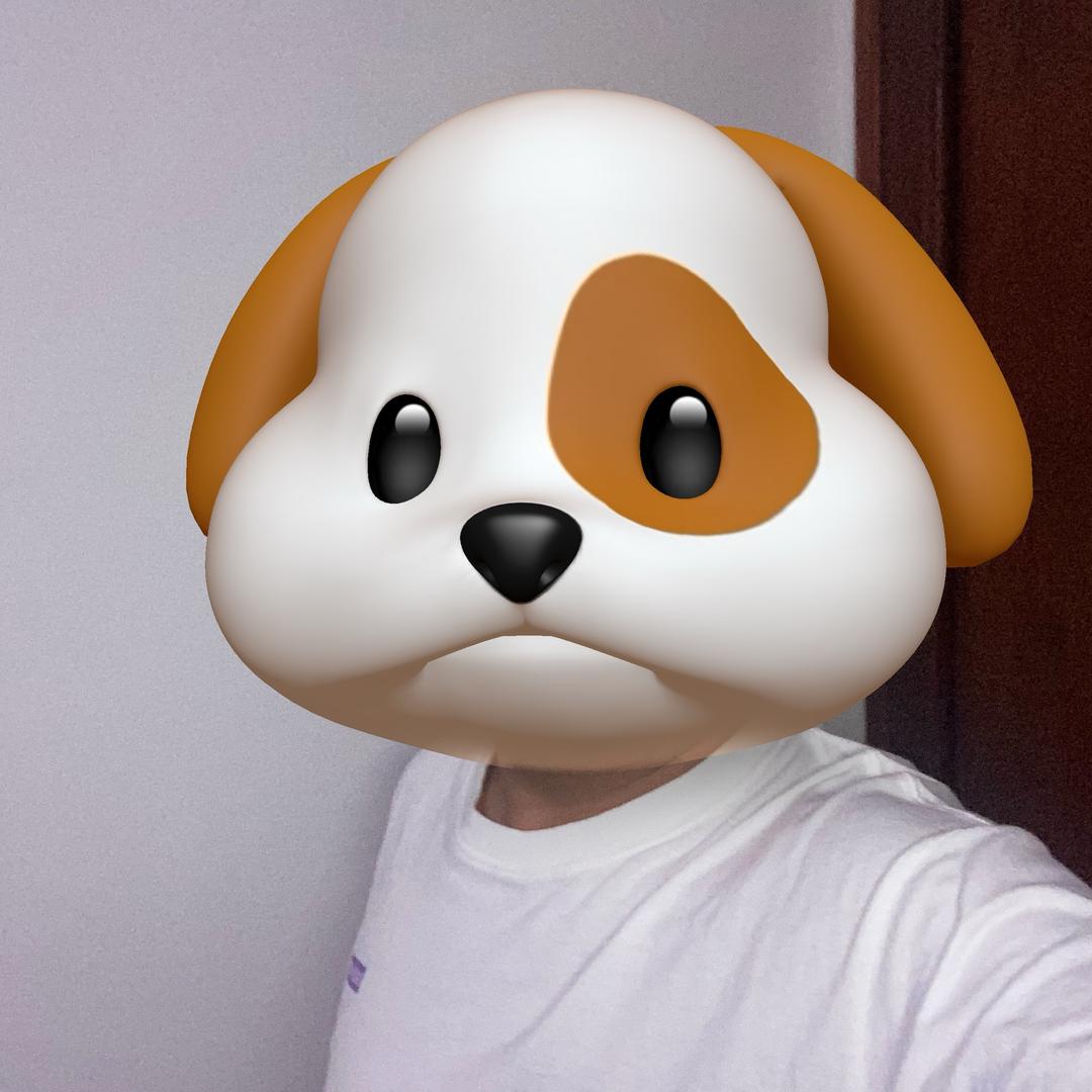 撞安