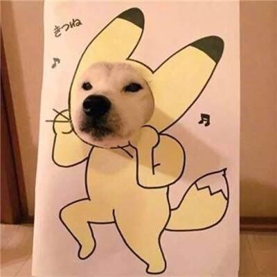 浪潮——