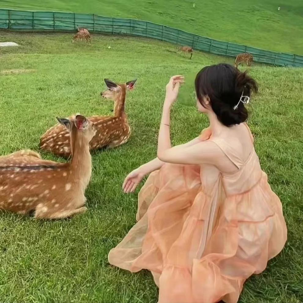 小裙裙