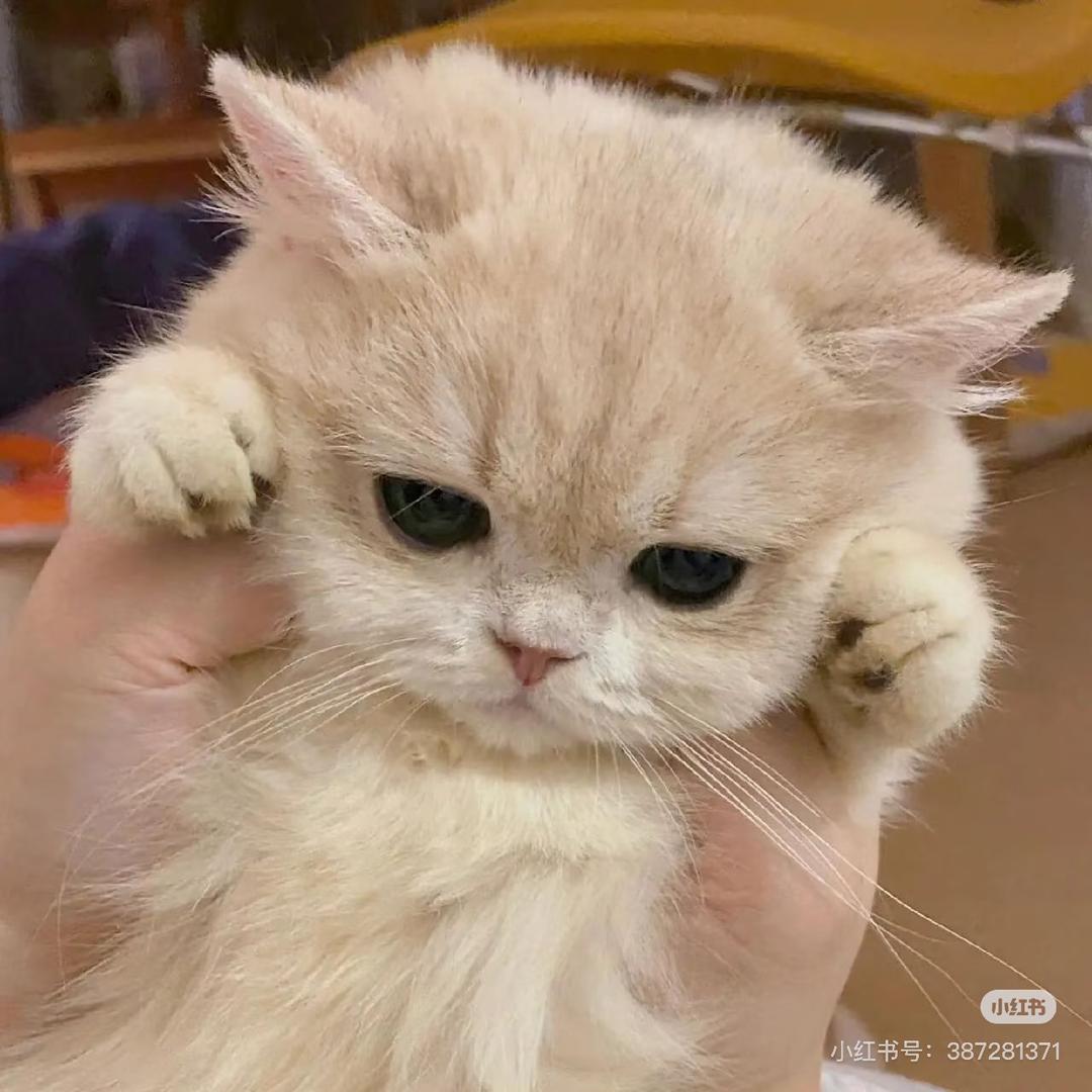 小兔兔涂涂涂涂——