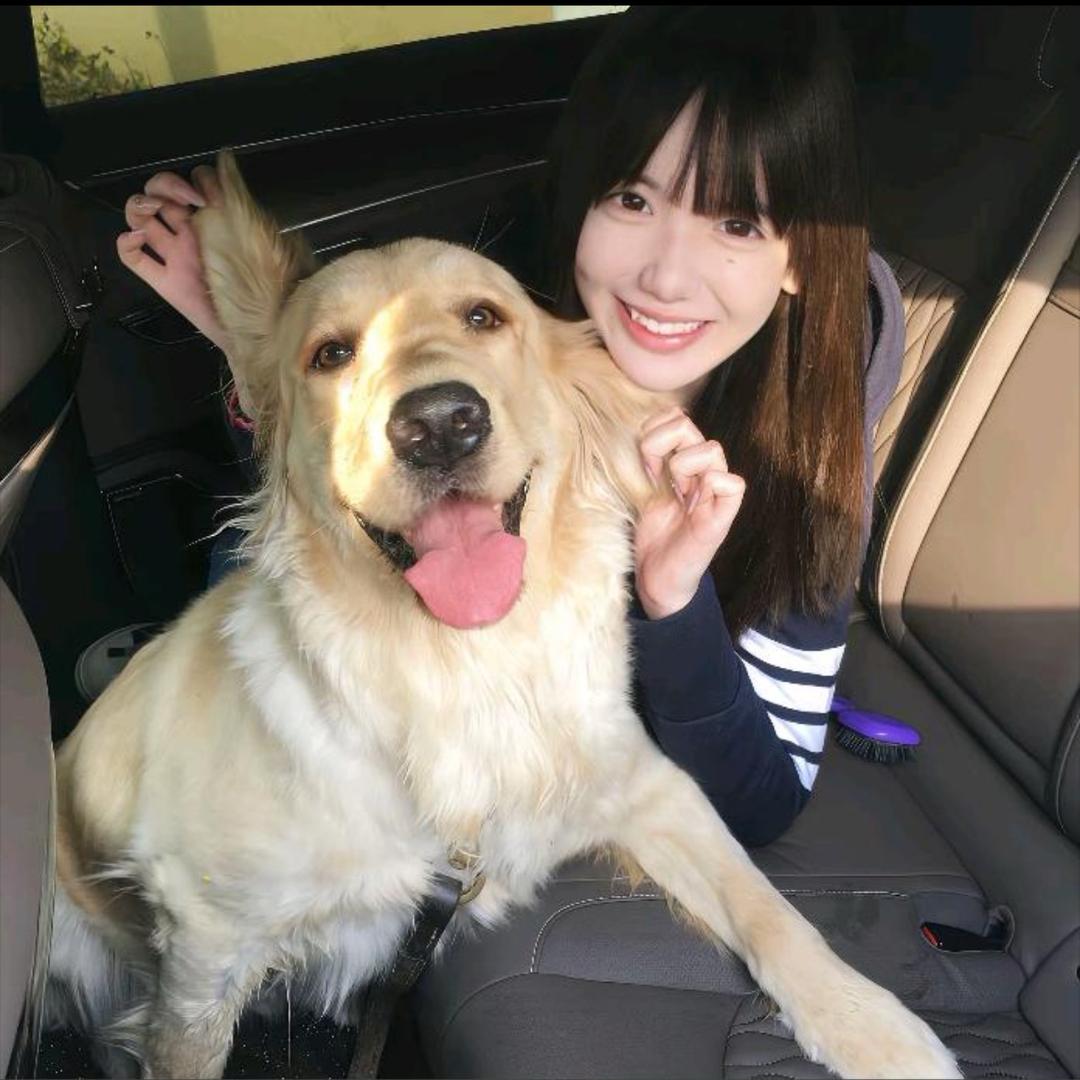 你看我有成为王的面相吗