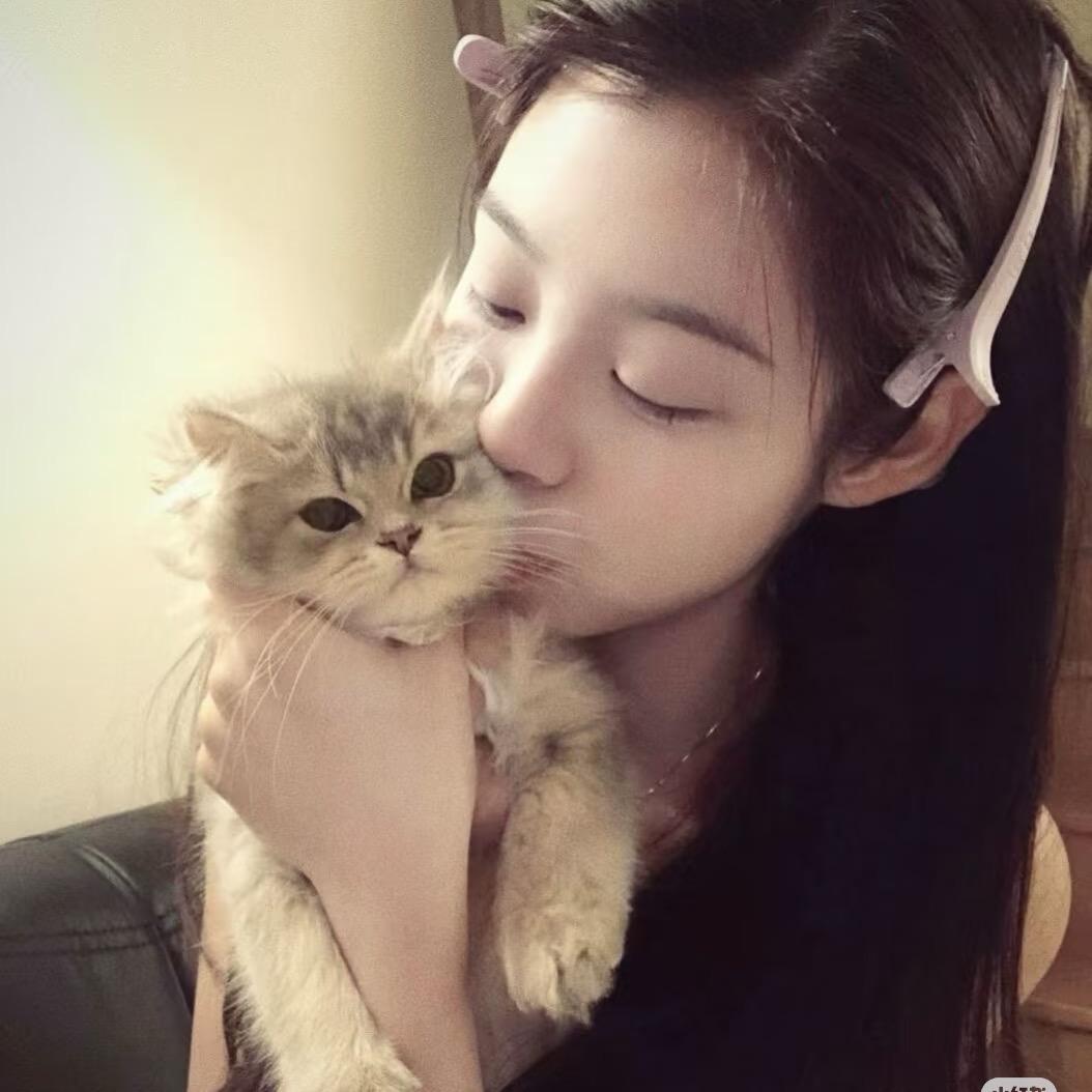 Kittyo3o