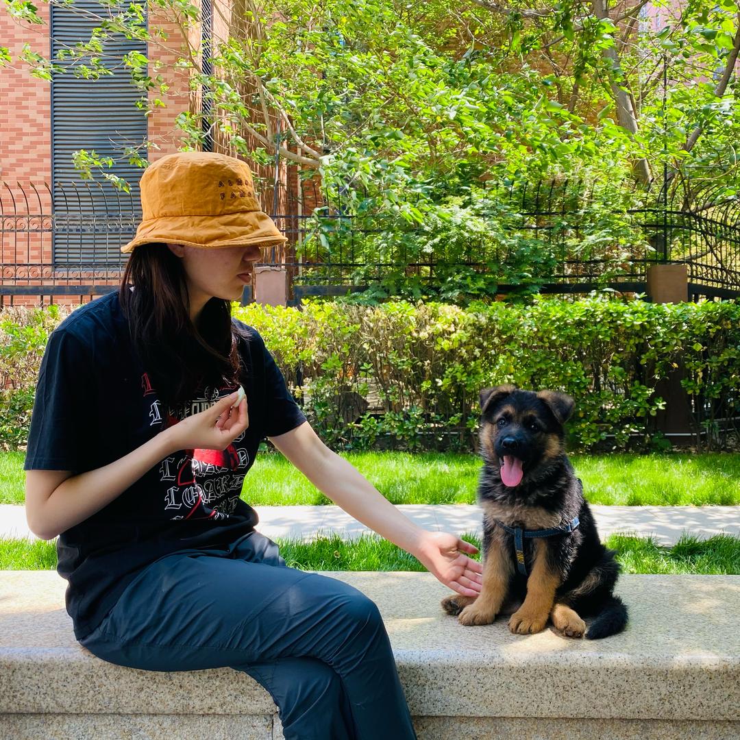赛温🐺