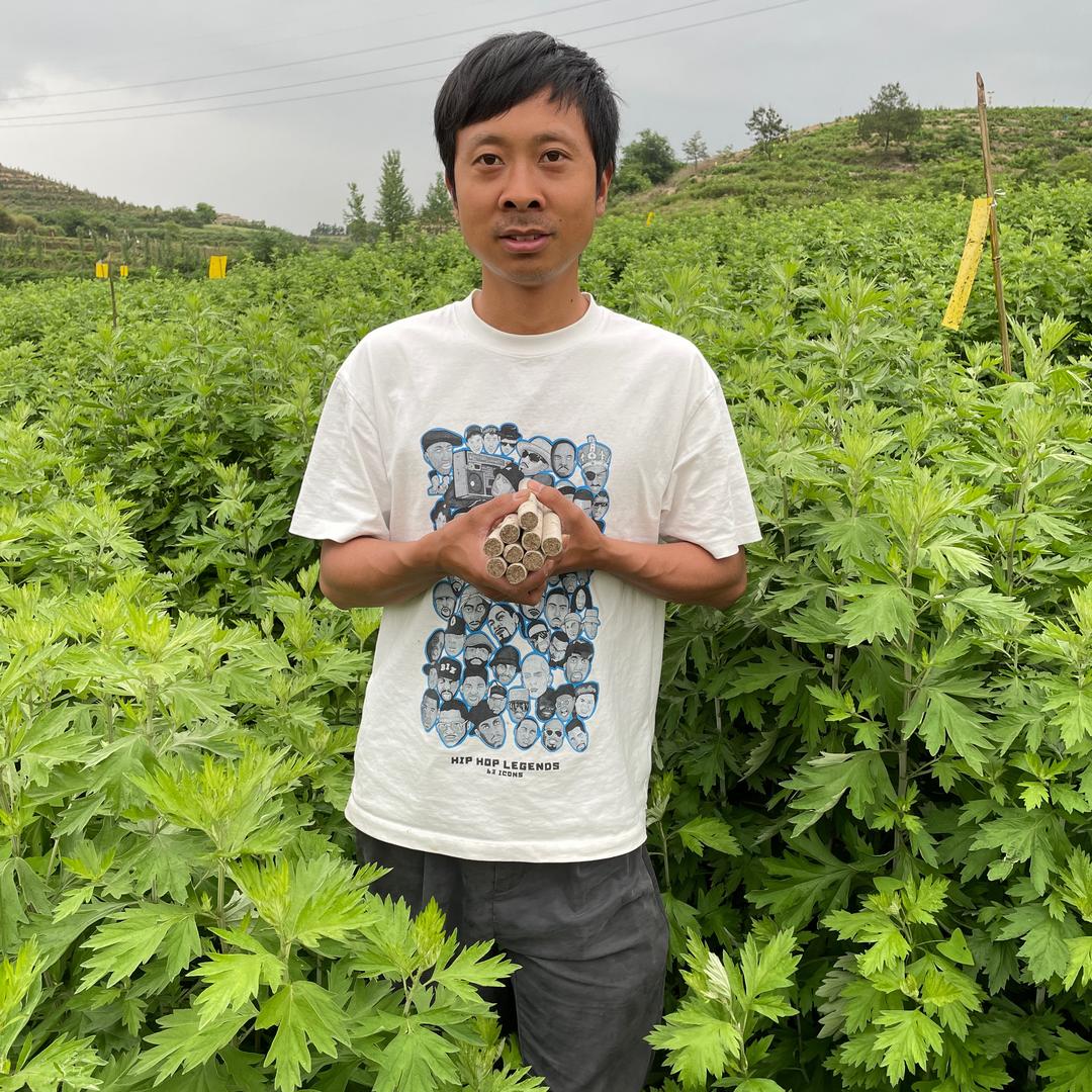 午艾坊艾草专业合作社