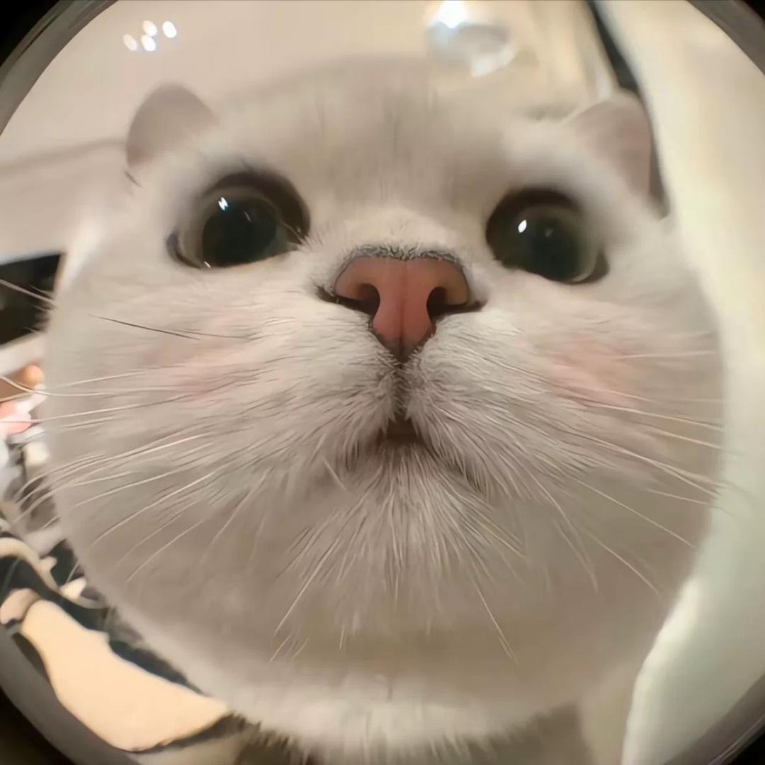 信息流广告（免费开户）