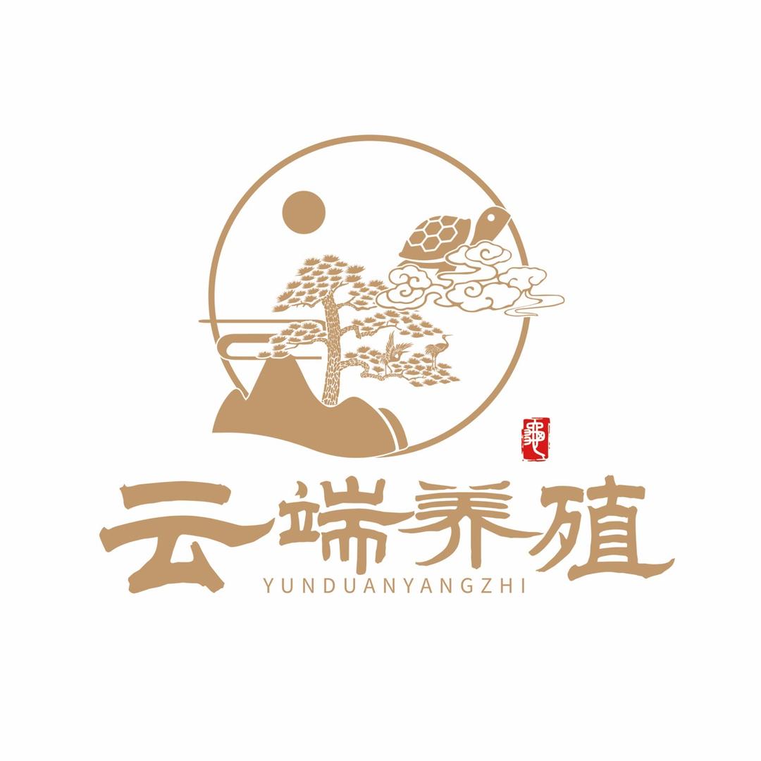 云端养殖收龟