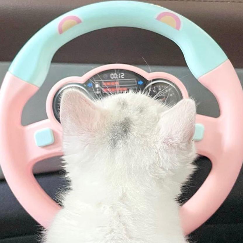 Lilo（十二猫版