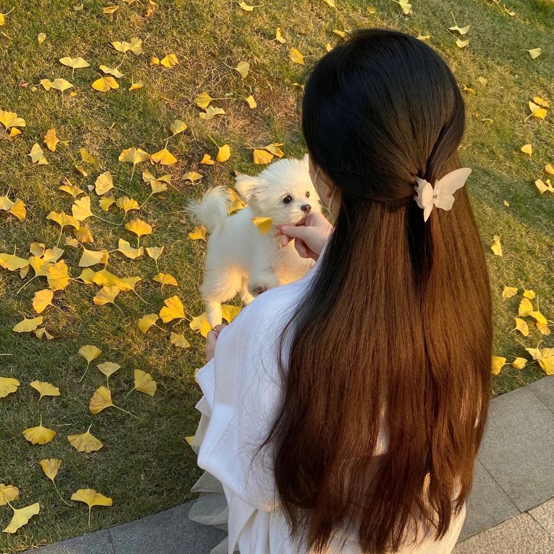 杜留爱分享