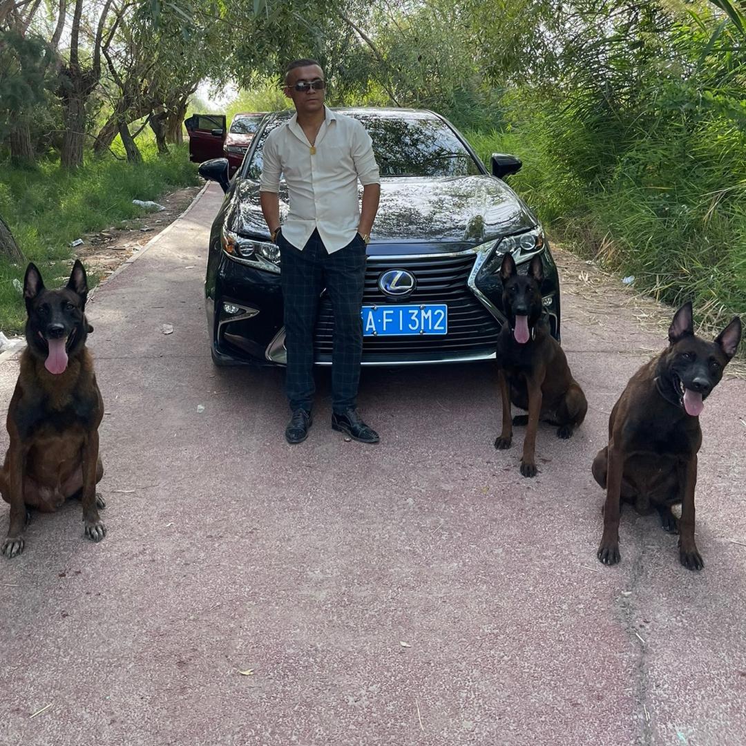 喀什市艾沙江训犬培训中心