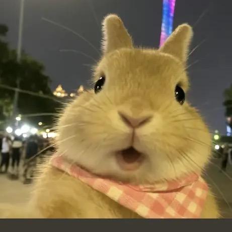 ᝰꫛ期待ꫀꪝ