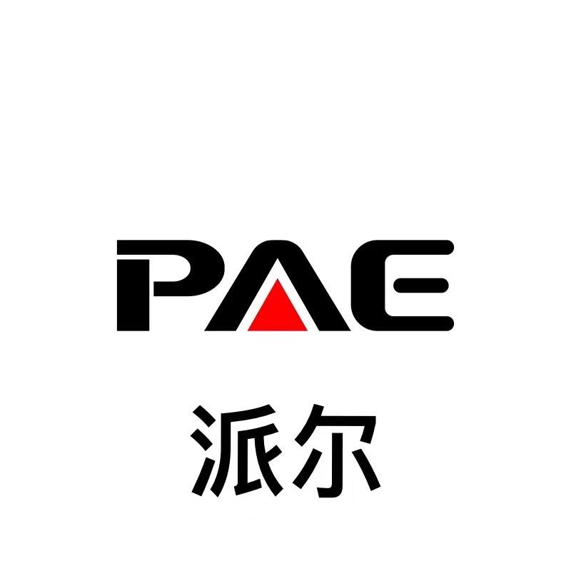 PAE派尔音响影音工厂