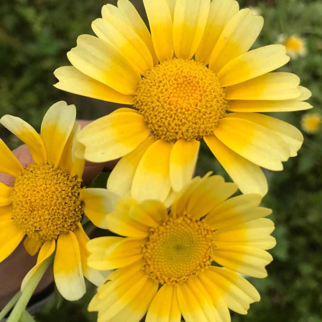 乐家超惠宁西店文姐