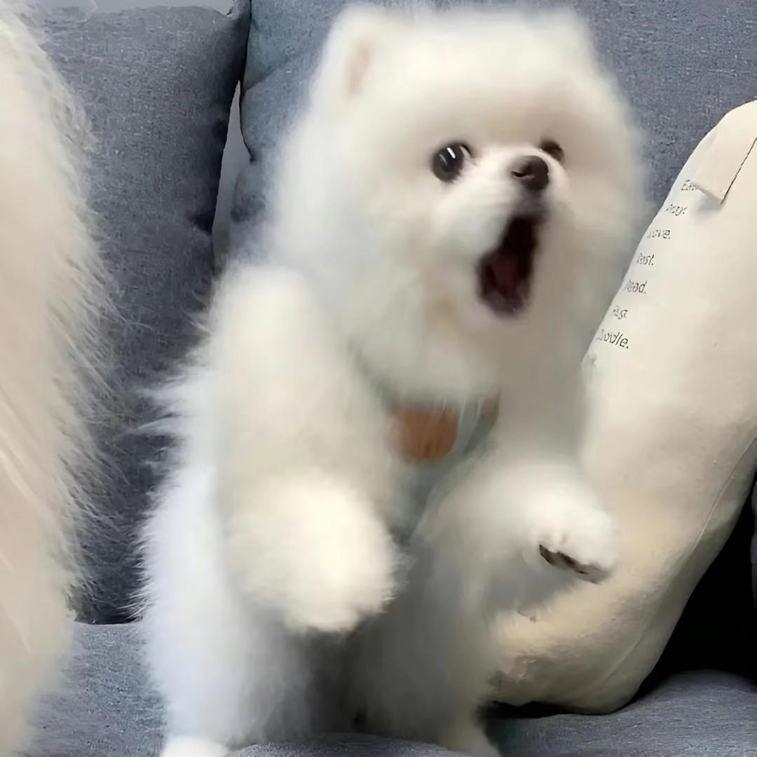 睡个好觉