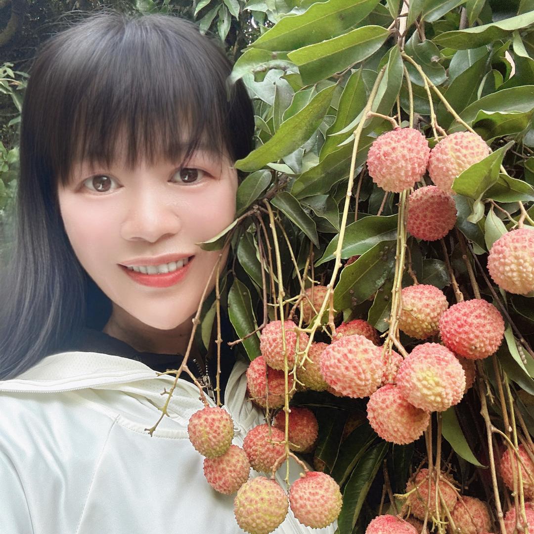 南山闻姐荔枝园