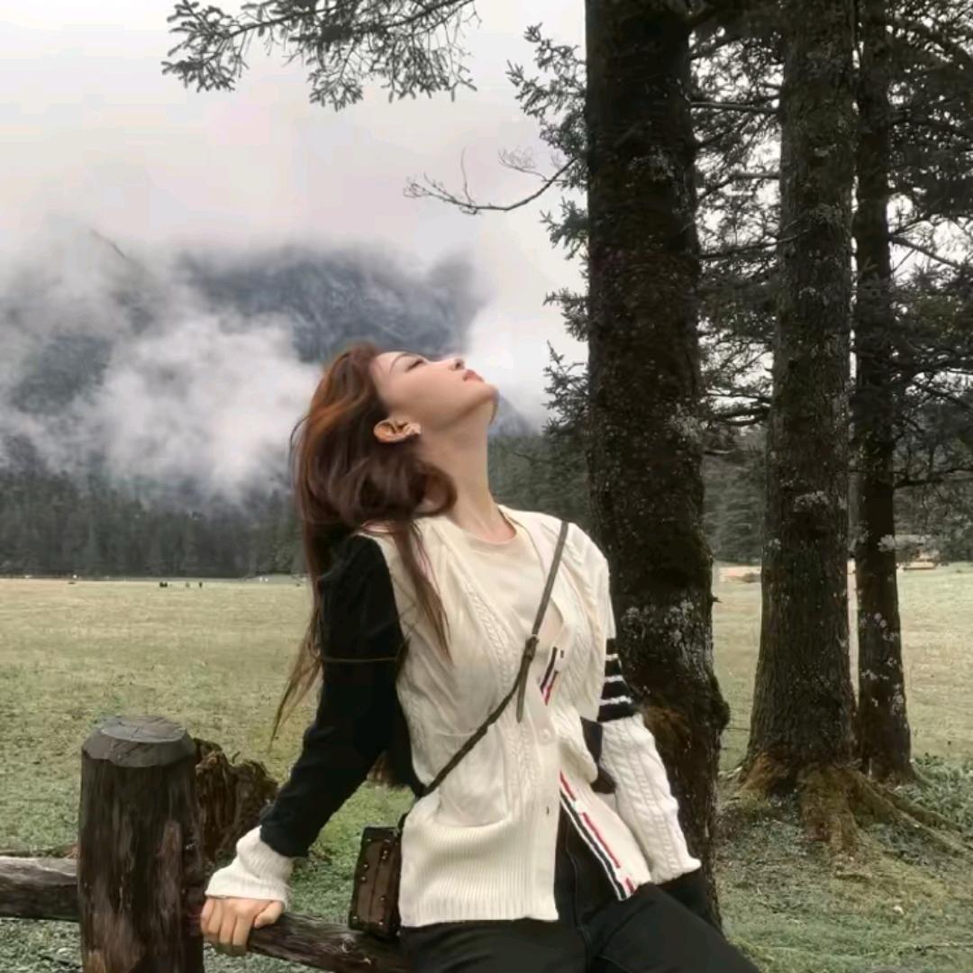 ᅠᅠᅠᅠ董稳稳