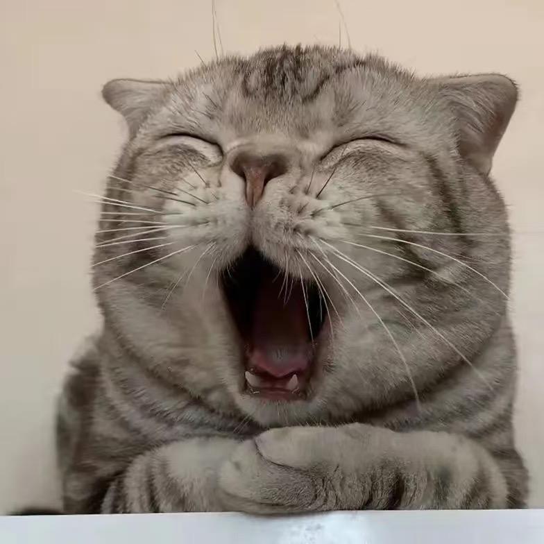 秋（晋级赛）