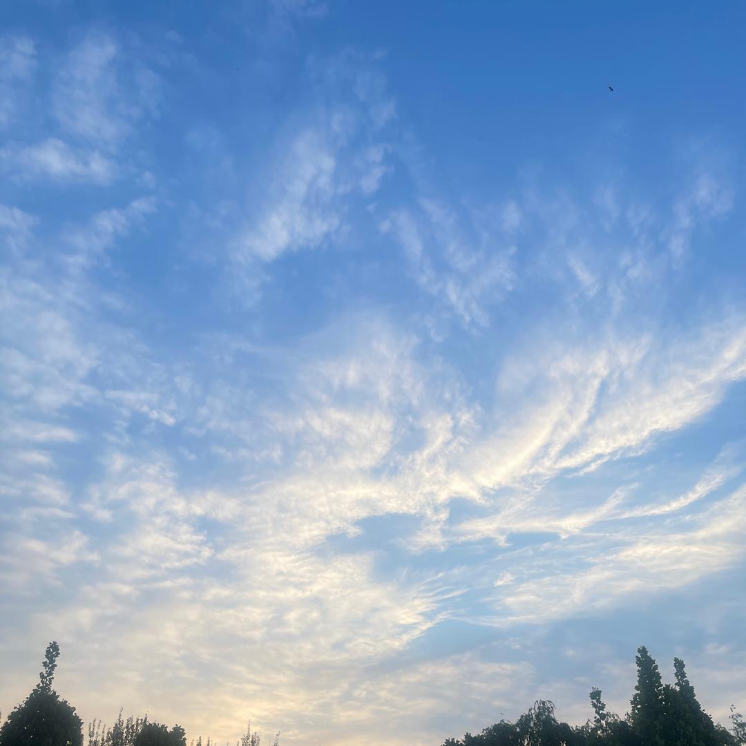 清晨的雨露