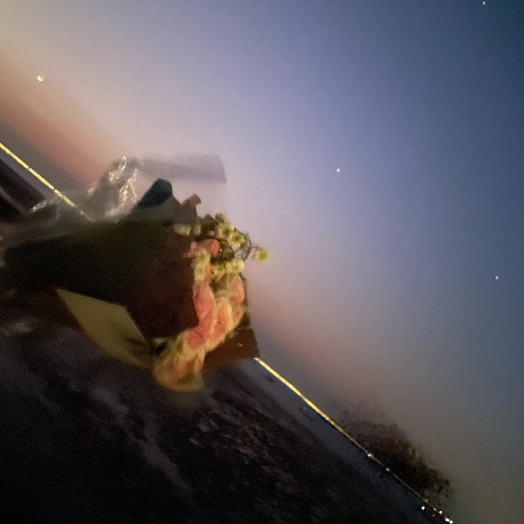 静静（爷俩好歌）