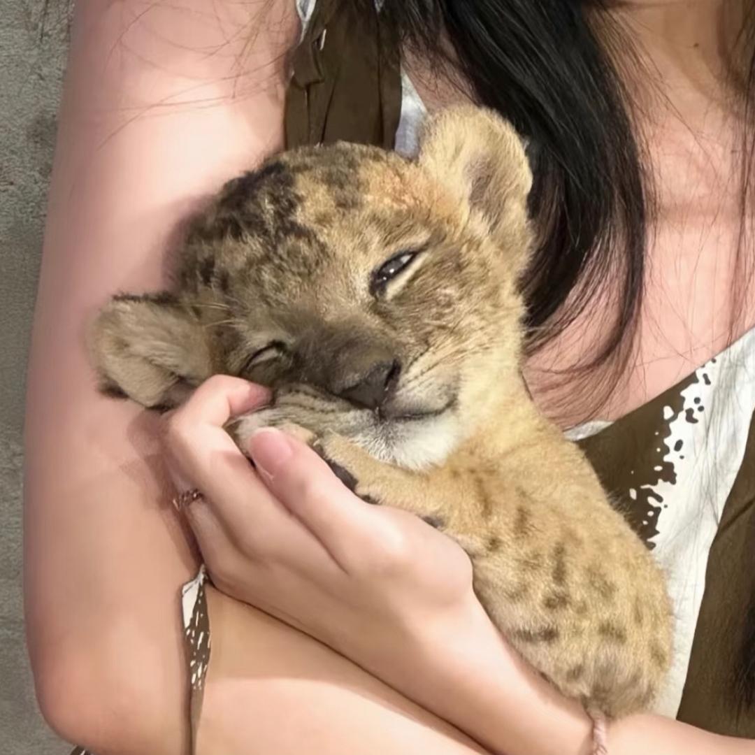 红鲤鱼与绿鲤鱼与驴