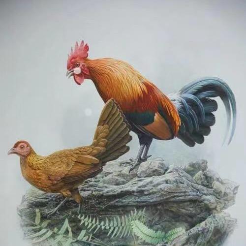 拌脚中的无限乐趣