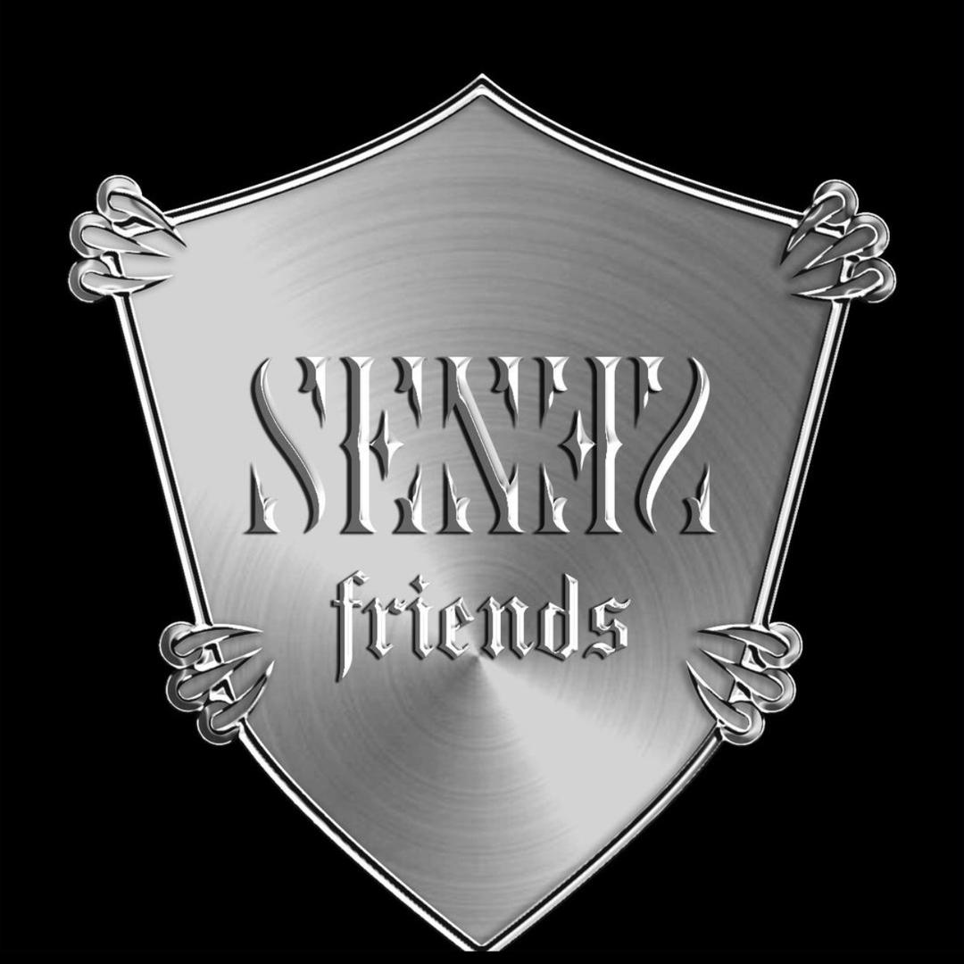 SENSEfriends