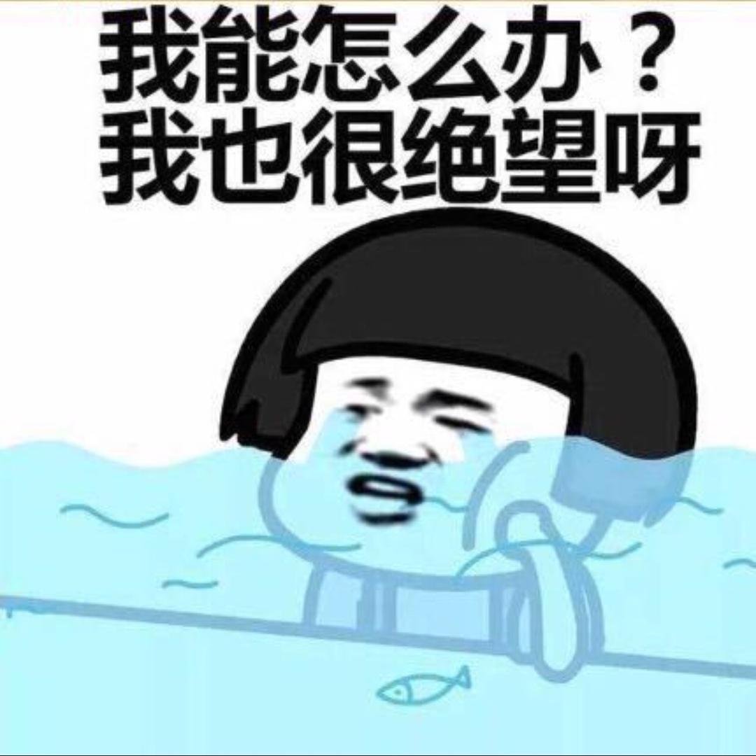 回不。去的青春