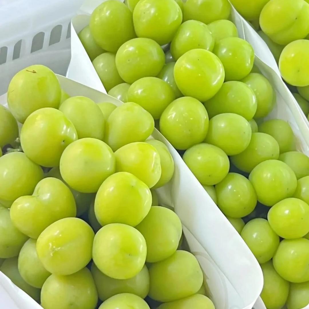 青柠葡萄🍇