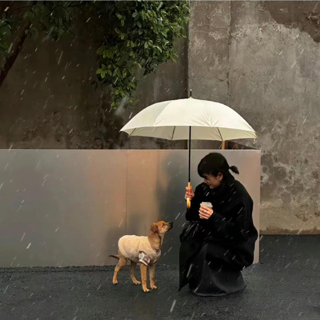 播阿巴