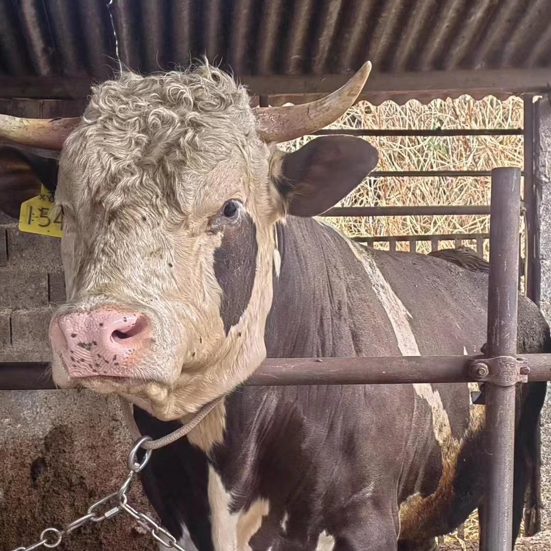 （养殖妹小号李龙翠畜牧服务部