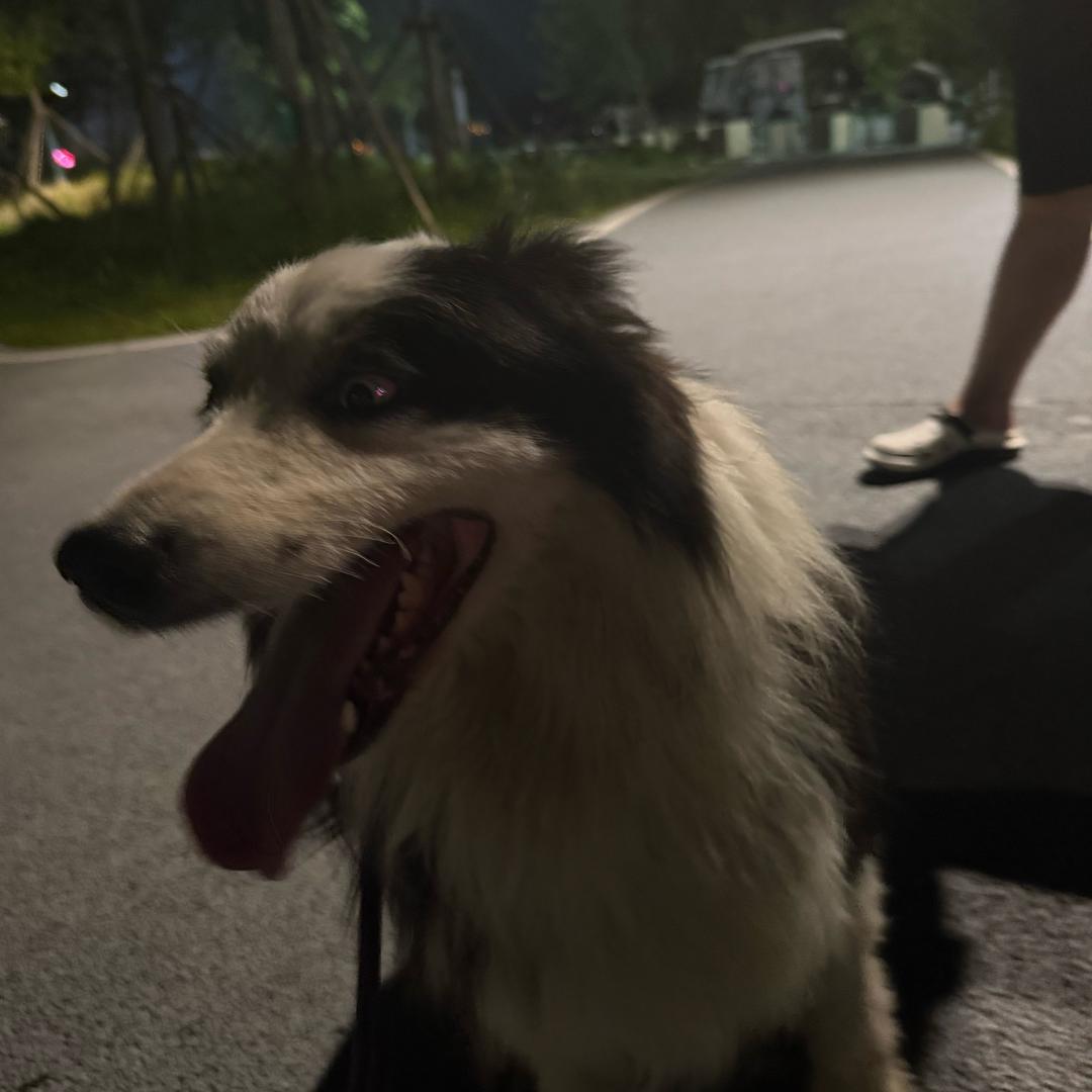 来财来财来财wwwhhh