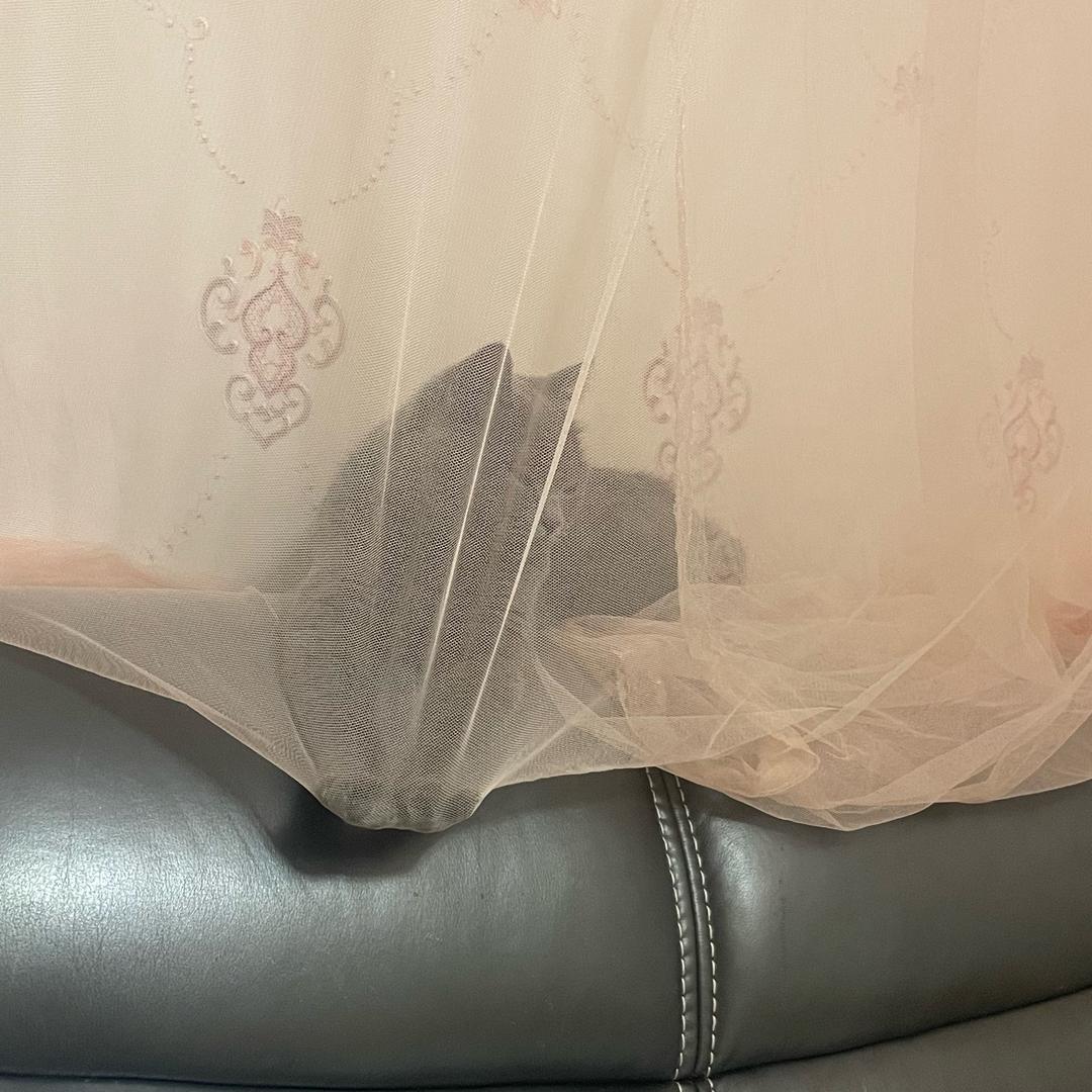 奶糖