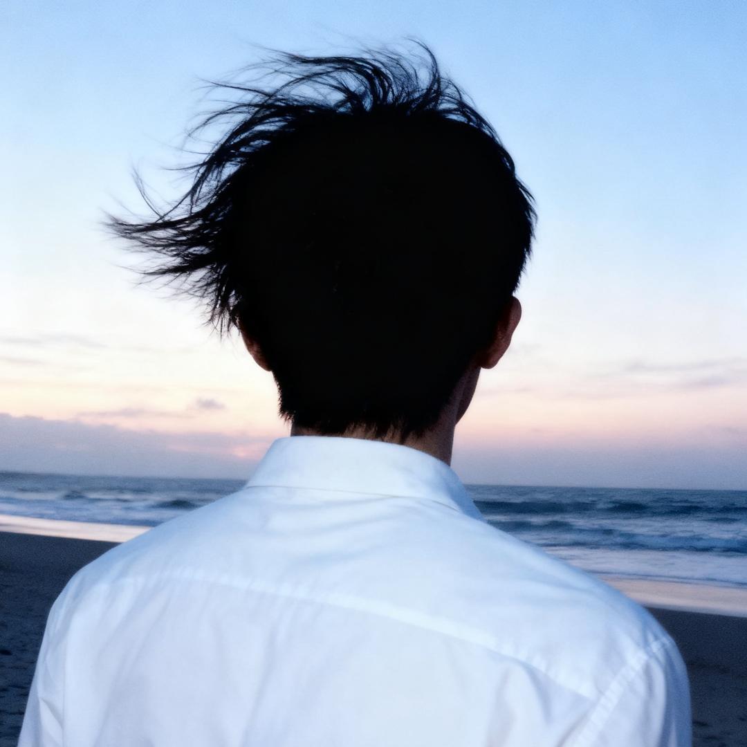枫