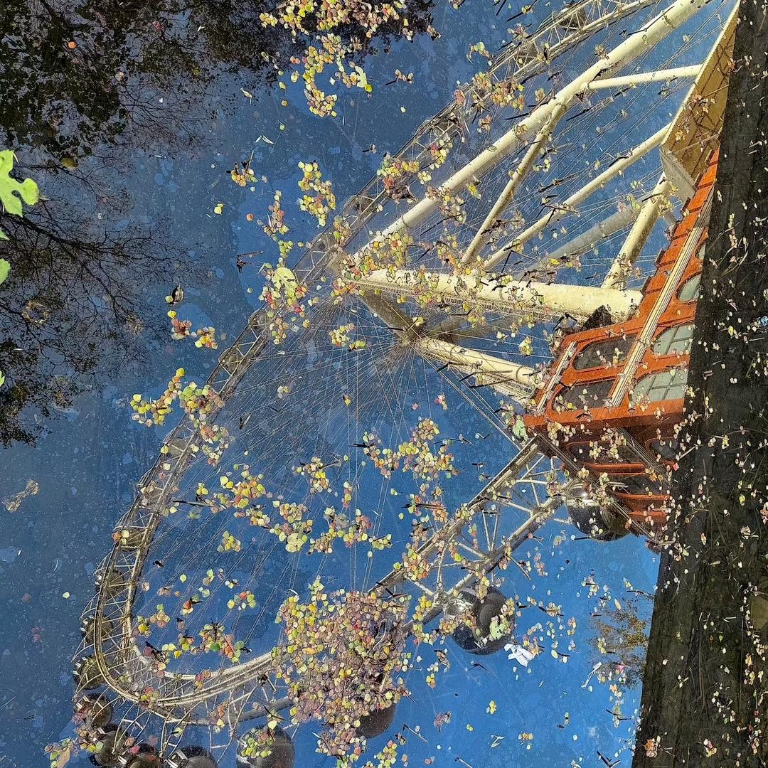 盼星星