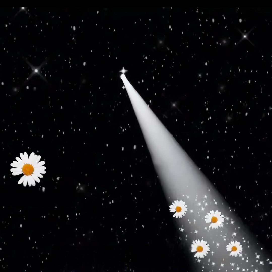 𝐏𝐢𝐧𝐤𝐏𝐢𝐧𝐤ʚ🤍ɞ