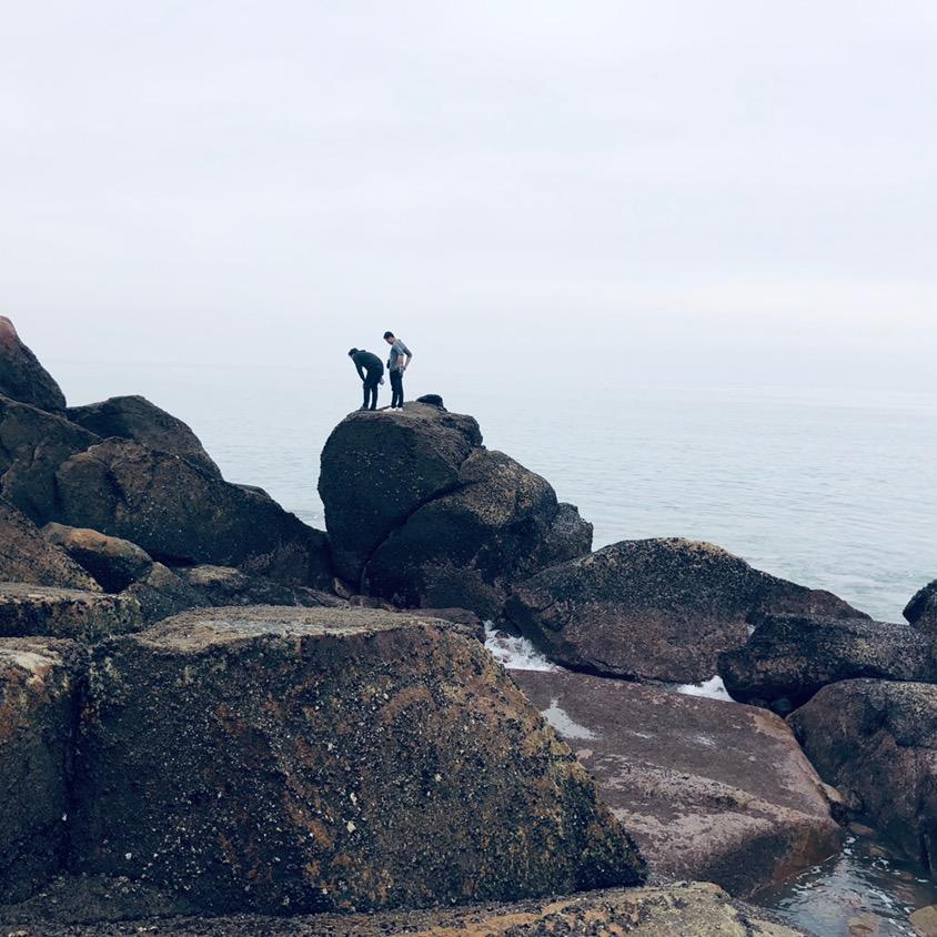 金钱美酒、凯子与狗